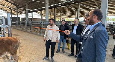 Belediye Başkanı canlı hayvan borsası ve et entegre tesisinde incelemelerde bulundu.