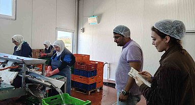 Beyşehir Gölüne kıyısı olan ilçedeki balık fabrikaları denetlendi