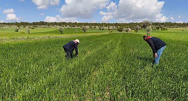 Beyşehir'in tarım alanları yakın takipte