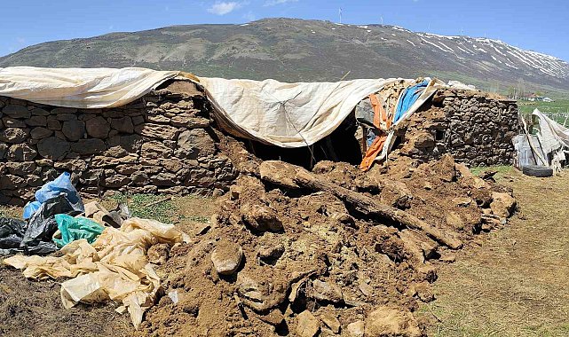 Bingöl'de fırtına ve sağanak nedeniyle ahır çöktü