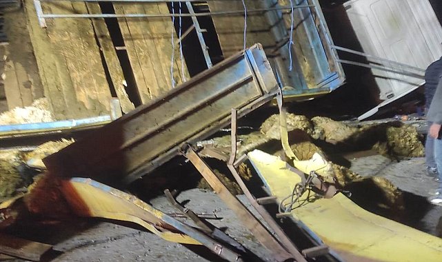 Bingöl'de kurbanlıkları taşıyan tır devrildi: Onlarca koyun telef oldu