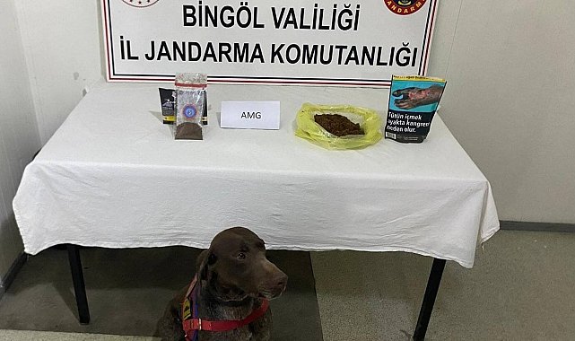 Bingöl'de yolcunun üzerinden bonzai çıktı
