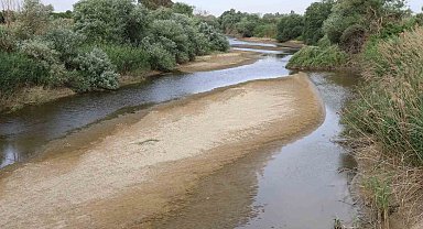 Bir zamanlar taşan Menderes şimdi suya hasret