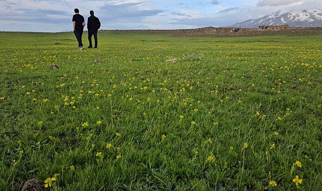 Bitlis'in saklı güzellikleri: Cil Gölü ve Sütey Yaylası
