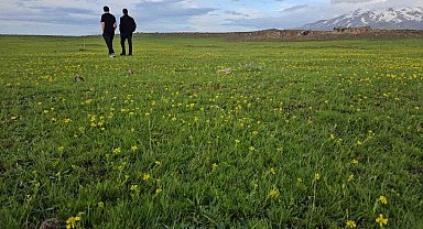 Bitlis'in saklı güzellikleri: Cil Gölü ve Sütey Yaylası