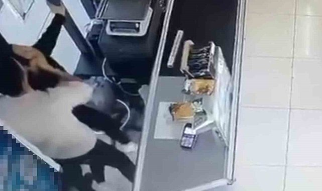 Bodrum'da kadın çalışana dehşeti yaşattı, acımasızca dövdü