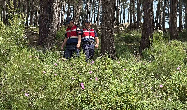 Bodrum'da ormanlara giriş yasaklandı, jandarma termal dronla kuş uçurtmuyor