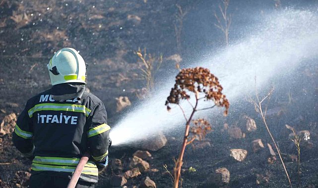 Bodrum'da otluk alanda çıkan yangın 5 dekarlık alanı küle çevirdi