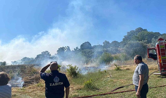 Bodrum'da zirai alan yangını