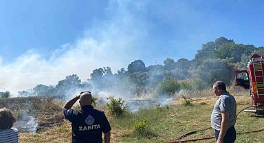 Bodrum'da zirai alan yangını
