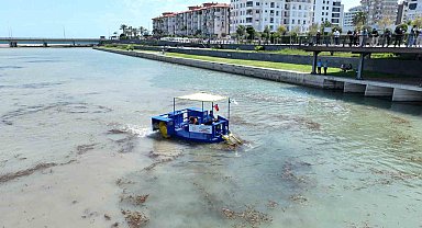 Boğaçayı'nda yeni canlı türlerine yakın takip