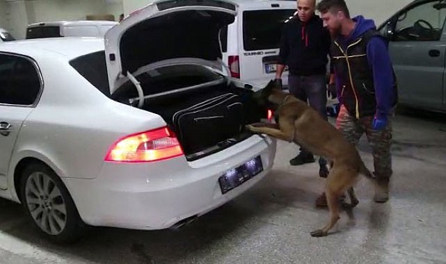 Bolu'da kaçakçılık operasyonunda 4 gözaltı