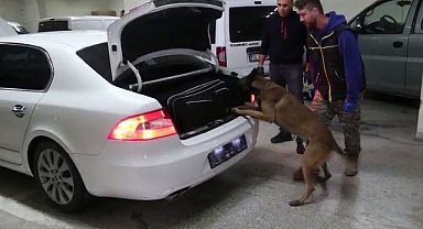 Bolu'da kaçakçılık operasyonunda 4 gözaltı