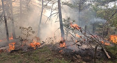 Bolu'da ormanlık alana düşen yıldırım yangına neden oldu