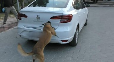 Bolu'da zehir tacirlerine geçit yok: 12 gözaltı