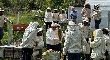 Bolu'nun dört bir yanından arı kursuna yoğun ilgi
