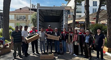 Bozdoğan'da 60 bin turşuluk biber fidesi dağıtıldı