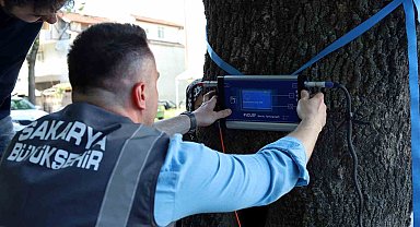 Bu cihaz Sakarya'da yeşil cennetin tomografisini çekecek