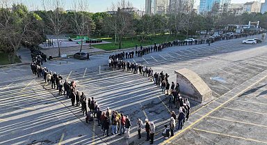 Bu da domates fidesi kuyruğu