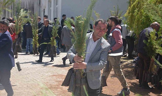 Bulanık'ta 5 bin çam fidanı dağıtıldı