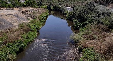 Bursa Büyükşehir kararlı; Nilüfer Çayı temiz akacak müsilaj etkisi azaltılacak