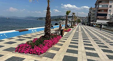 Bursa çiçek bahçesine dönüşüyor