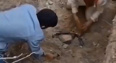 Bursa'da ölen köpekleri mezardan çıkarmaya çalıştılar