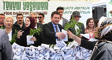 Bursa'da Osmangazi Belediyesi'nden ücretsiz fide dağıtımı