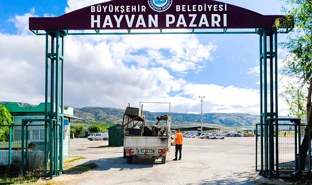 Büyükşehir Hayvan Pazarı için yer satışları başlıyor