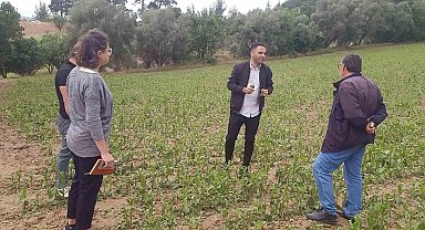 Büyükşehir'den dolu afetine karşı hızlı müdahale