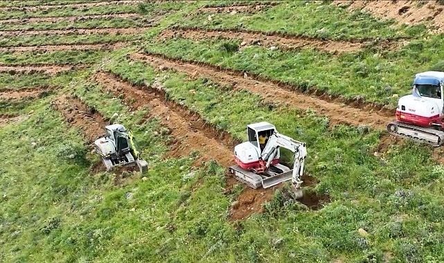 Çamardı'da 227 hektarlık alanda ağaçlandırma yapıldı