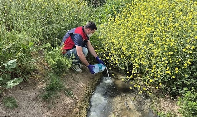 Çanakkale'de çeltik ekim alanlarında sivrisinek mücadelesi başladı