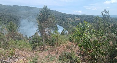 Çanakkale'de orman yangını kontrol altına alındı