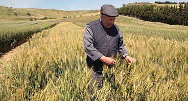 Çanakkale'de tarla günü düzenlendi