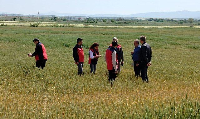 Çanakkale'de üreticilerin ekili dikili alanlarında saha incelemesi yapıldı