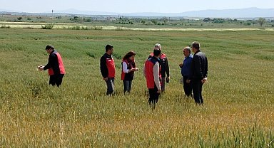 Çanakkale'de üreticilerin ekili dikili alanlarında saha incelemesi yapıldı