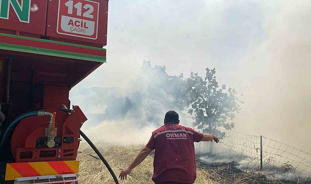 Çanakkale'deki orman yangını kontrol altına alındı