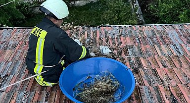 Çatıda mahsur kalan yavru leylekler itfaiye tarafından kurtarıldı