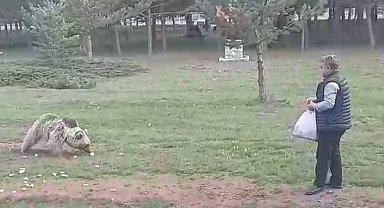 Çemşit ismini verdiği bozayıyı besledi, eşi kayıt altına aldı