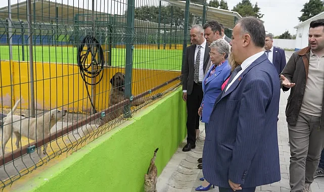 CHP'li Yontar'dan Çorlu'da 'Hayvan Bakım Evi'ne ziyaret