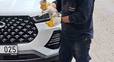 Cipin motor kısmına sıkışan yavru kediyi itfaiye kurtardı