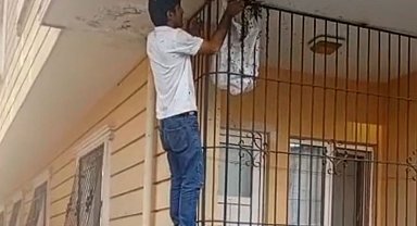 Çıplak elle yüzlerce arının arasına girdi