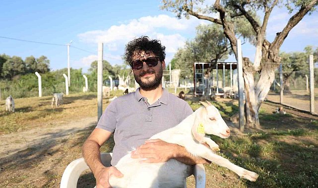 Çocuğuna taze süt içirmek için keçi aldı, kendisini çobanlık mesleğinin içinde buldu