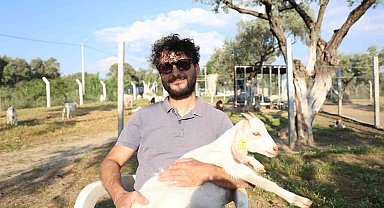 Çocuğuna taze süt içirmek için keçi aldı, kendisini çobanlık mesleğinin içinde buldu