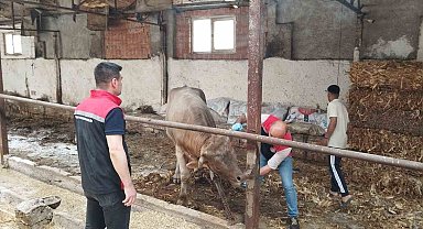 Çorum'da hayvan pazarları kapatıldı