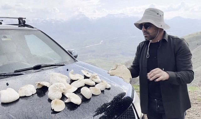 Dağlarda kendiliğinden yetişiyor, kilosu bin 250 TL'den satılıyor