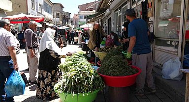 Dağlardan toplanan otlar hem şifa hem kazanç sağlıyor