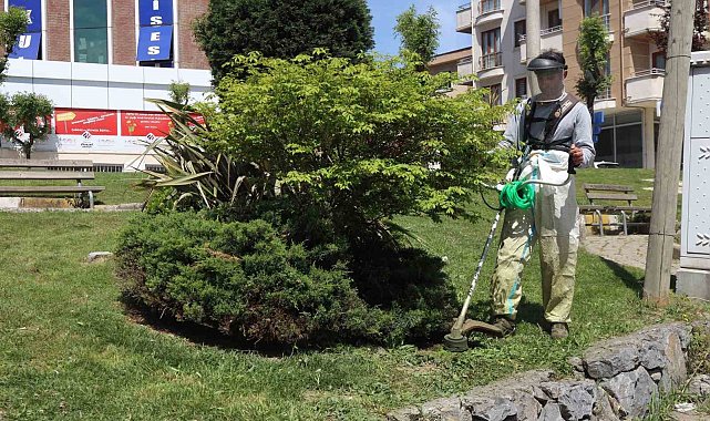 Darıca'da yeşil alanlarda bahar mesaisi