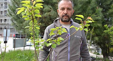 Dededen toruna uzanan bir meslek mirası