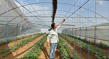 Derecik'te şiddetli fırtına: Seralarda maddi hasar oluştu